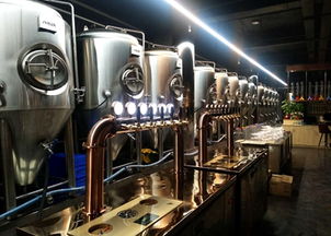 釀啤酒設備報價 廠家