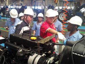 中國農業大學新聞網 學校要聞 驕陽下的農大人 圖文